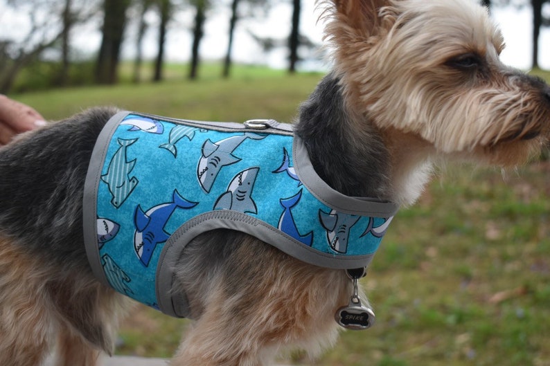 Happy Sharks Small Dog Harness Made in USA Dog Harnesses Pet Etsy