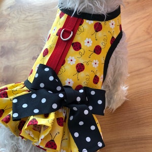 Ladybug small dog ruffle harness, Made in USA, dog harnesses, pet clothing