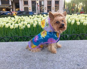 Gerber Daisy Dog Rain Jacket, Dog Rainjacket, Dog Coat, Dog Jacket, Dog Jackets, pet clothing
