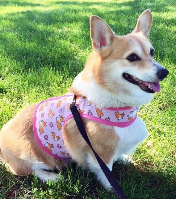 CorgiThings print Small Dog Harness Made in USA dog harness | Etsy