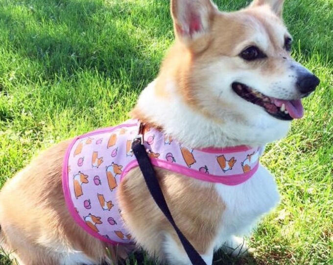 Print Small Dog Harness Made in USA Dog Harness Etsy