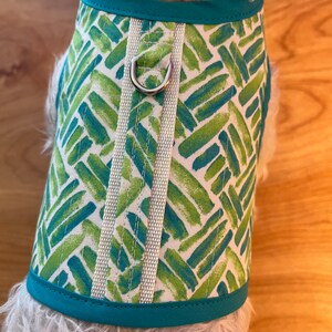 Summer Brise Kleinhundegeschirr, made in USA, Hund