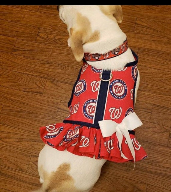 Washington Nationals Dog Jersey - Small