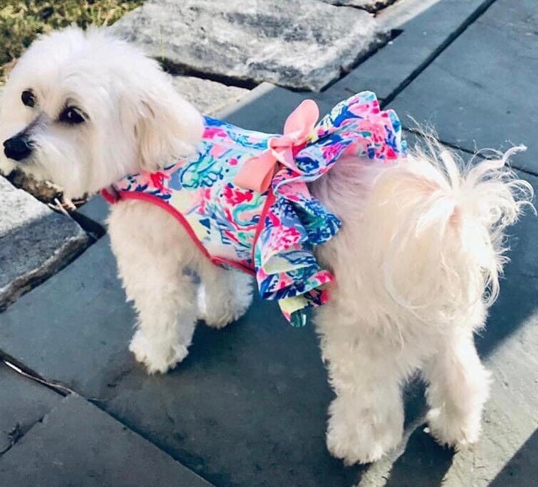Lilly Pulitzer Dog Dress Etsy