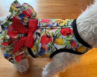 Arnés con volantes para perros pequeños Song Bird, fabricado en EE. UU., arneses para perros, ropa para mascotas