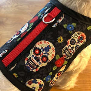 May include: A black dog harness with a red strap and a colourful sugar skull pattern. The harness has a silver D-ring.