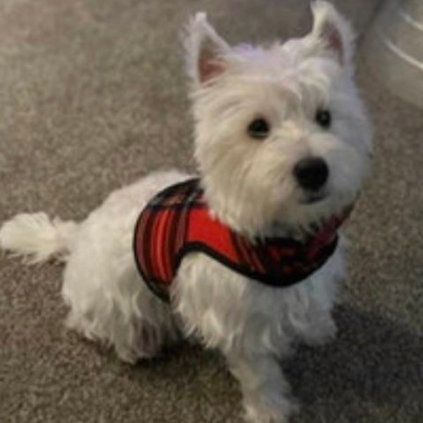 Westie Red Tartan Plaid Small Dog Harness Made in USA, dog harnesses, fleece, pet clothing