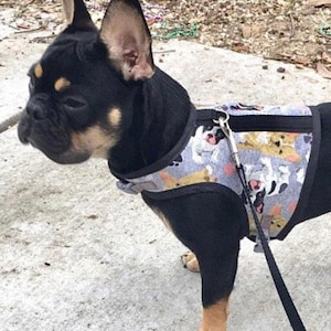 Frenchie II print Small Dog Harness Made in USA, dog harnesses, pet clothing