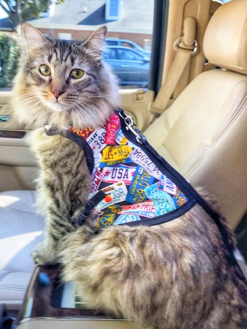 Custom Cat Harness Made in USA Cat Harness Cat Harnesses Etsy
