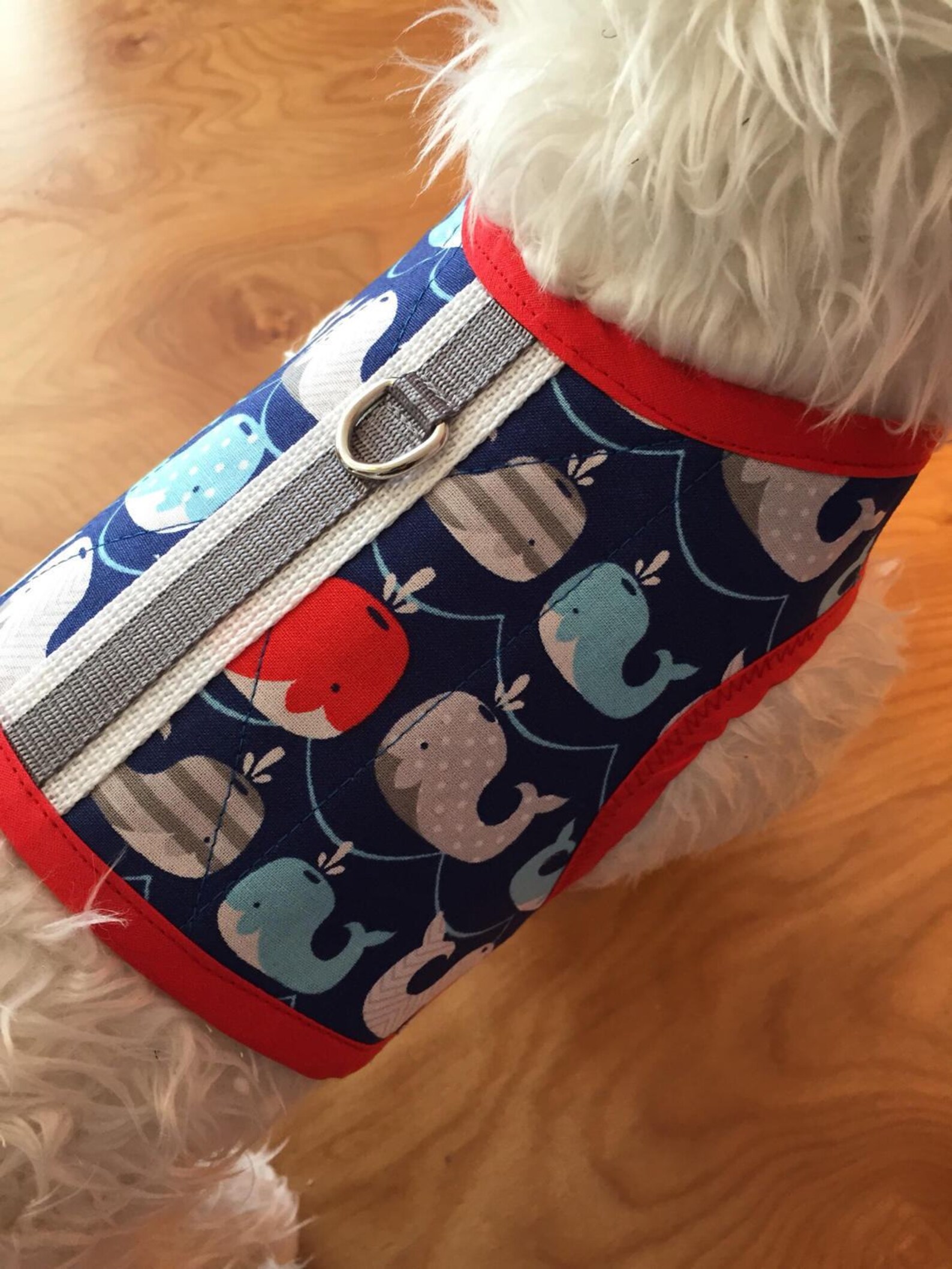 Happy Whales Small Dog Harness Made in USA Dog Harness Dog Etsy
