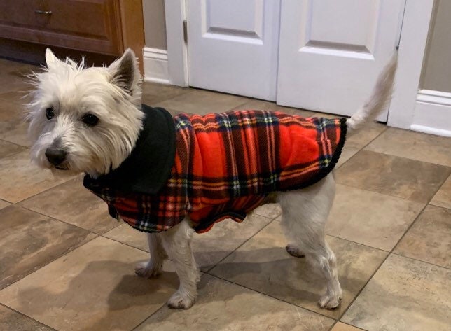 Tartan dog jacket new arrivals