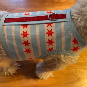 Chicago flag Small Dog Harness Made in USA, dog harnesses, pet clothing image 2