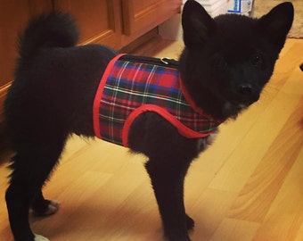 May include: A black dog wearing a red and blue plaid harness. The harness has a red trim and a black buckle.