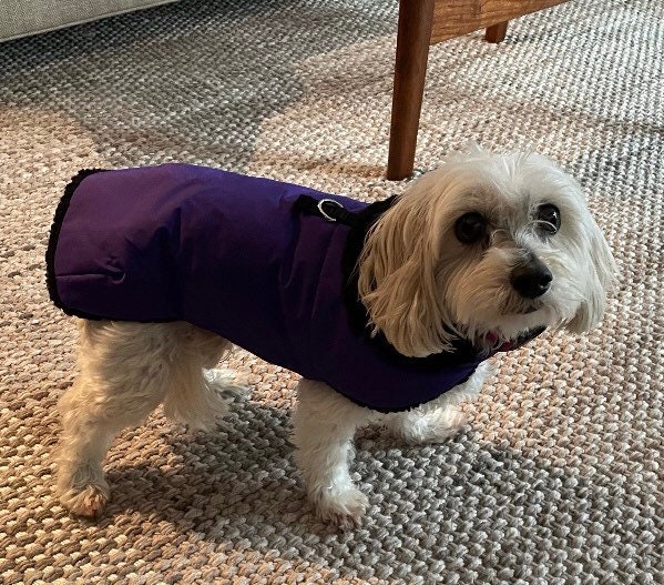 Ravens dog sweater sale
