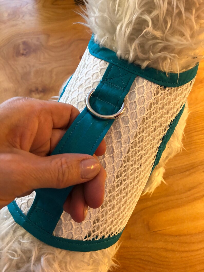 Grab Handle Small Dog Harness Breathable Mesh Made in USA Etsy