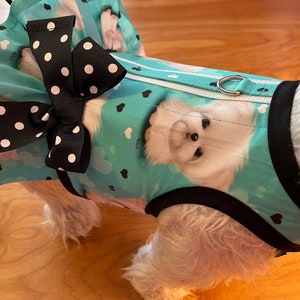 Maltese print small dog double ruffle harness, Made in USA, dog harnesses, pet clothing image 2