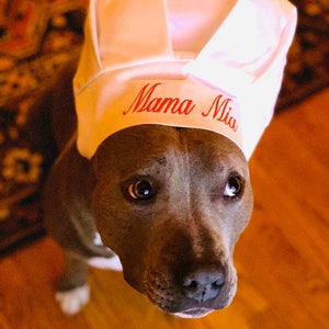 Chef Hat for Dogs, Dog Costume, Hats for dogs, Dog Hat image 3