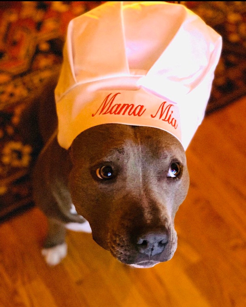 Chef Hat for Dogs, Dog Costume, Hats for dogs, Dog Hat imagem 3