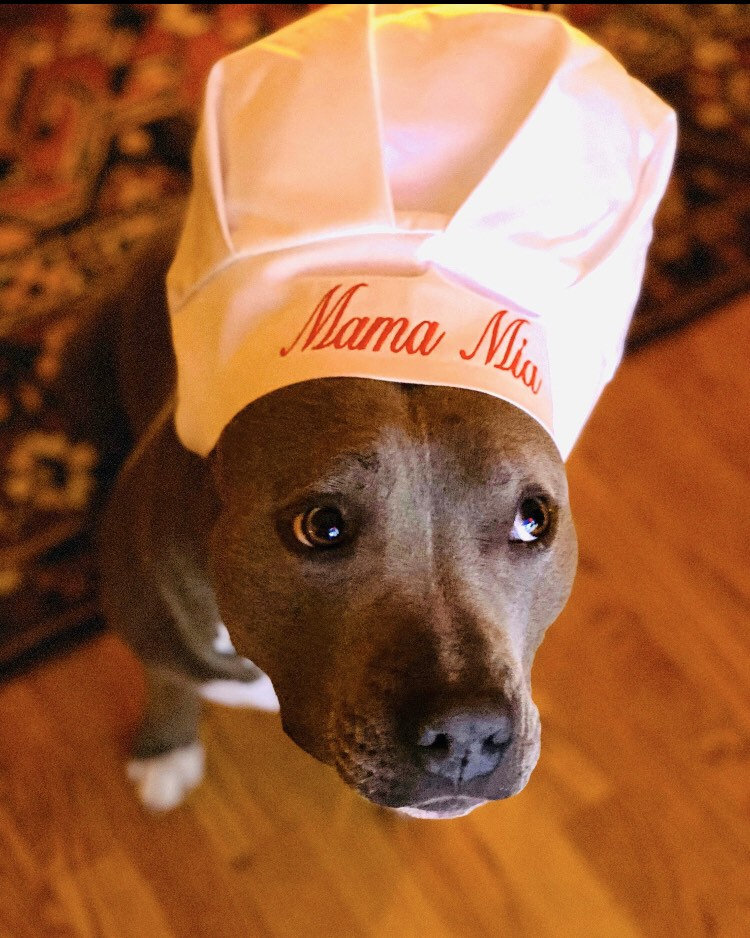 Chef Hat for Dogs Dog Costume Hats for dogs Dog Hat Etsy