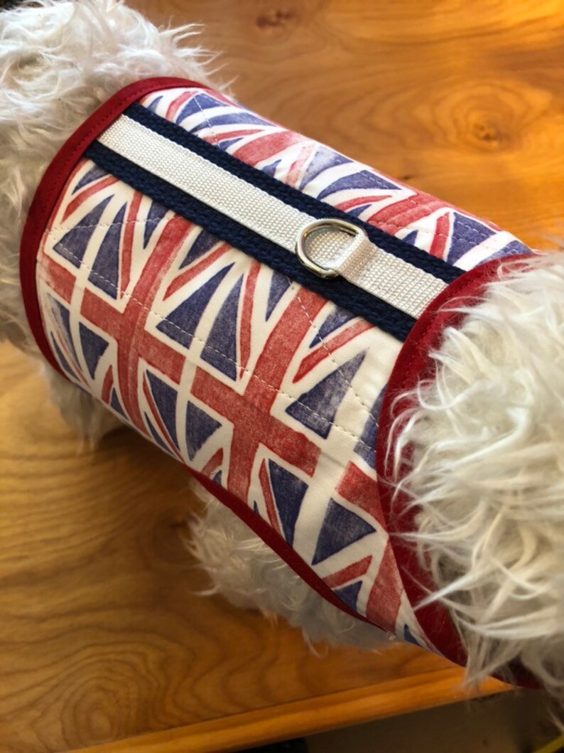 British Invasion Small Dog Harness Made in USA Dog Harnesses Etsy