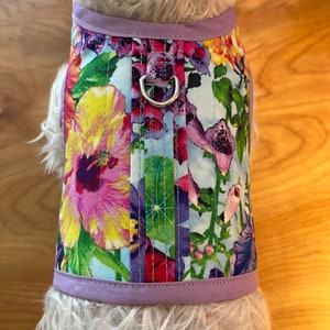 English garden print Small Dog Harness, Made in USA, dog harnesses, pet clothing