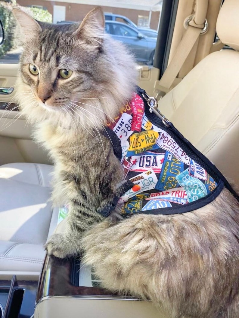 Custom Cat Harness Made in USA Cat Harness Cat Harnesses Etsy