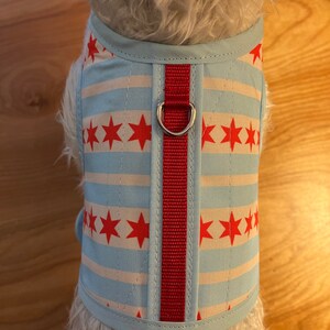 Chicago flag Small Dog Harness Made in USA, dog harnesses, pet clothing image 3