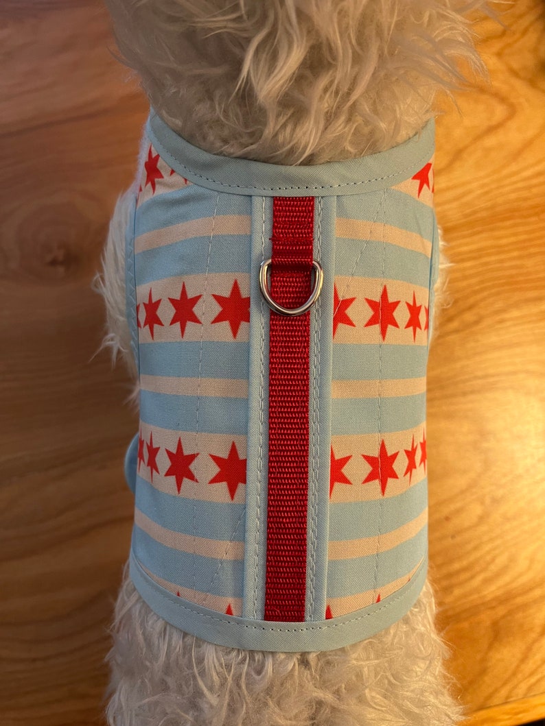 Chicago flag Small Dog Harness Made in USA, dog harnesses, pet clothing image 3