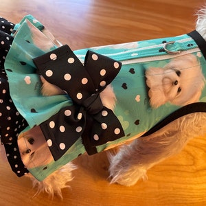 Maltese print small dog double ruffle harness, Made in USA, dog harnesses, pet clothing image 1