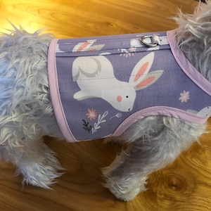 Pastell Bunny Geschirr für kleine Hunde, Made in USA, Ostern