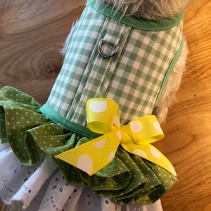 Gingham und Öse Doppel Rüschen Kleines Hundegeschirr, Hergestellt in den USA