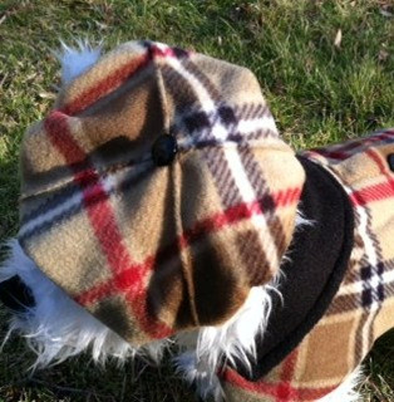British Plaid Dog Beret Hats for Dogs Dog Hat | Etsy
