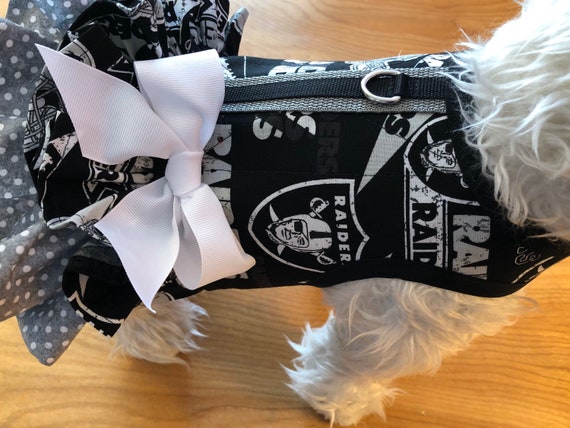 raiders dog clothes