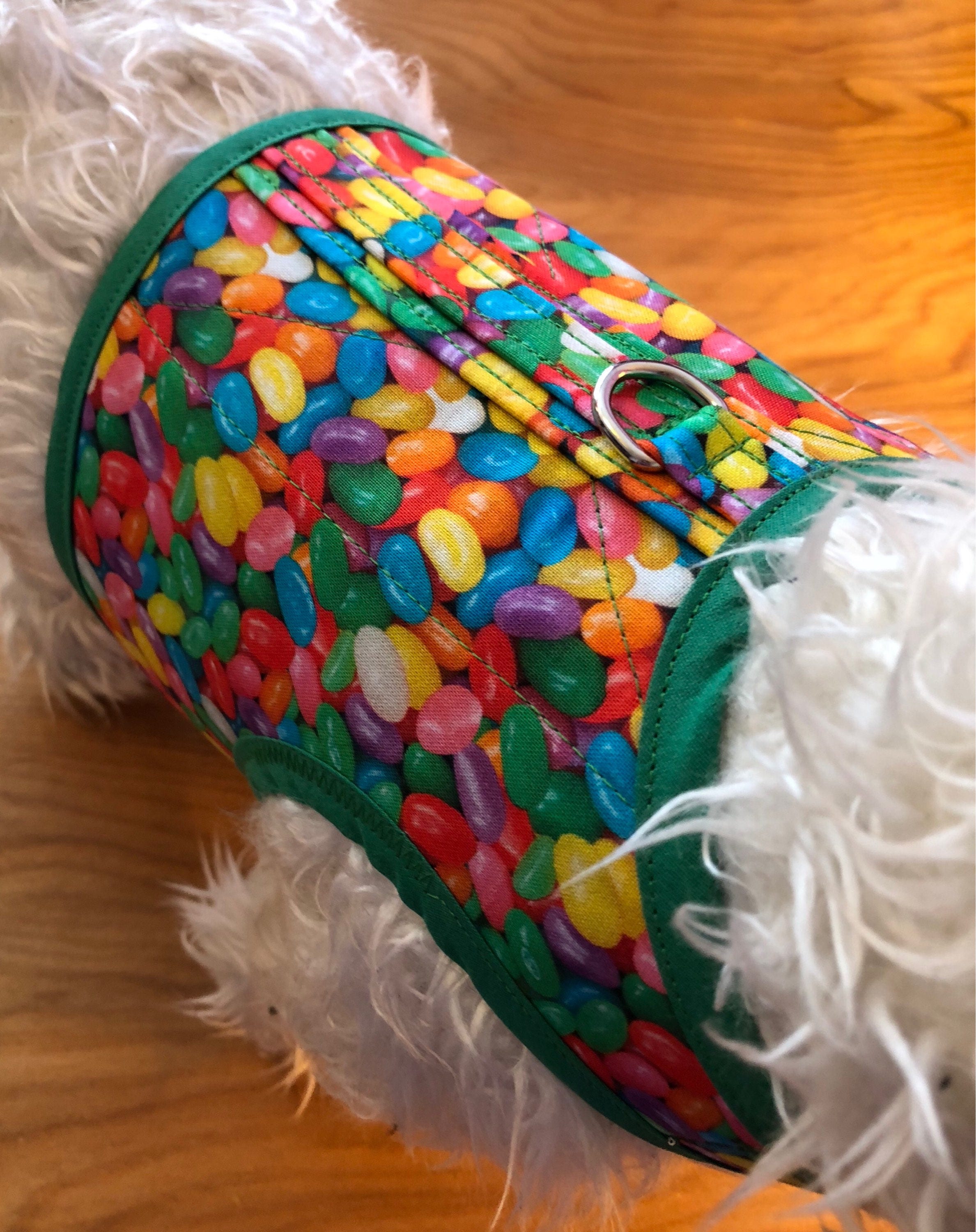 Can Dogs Have Jelly Beans