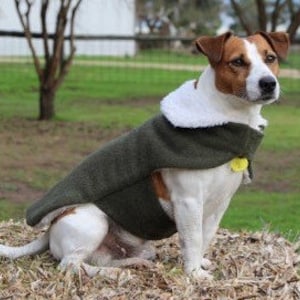 以下が含まれることがあります： 茶色と白の犬が、白いフェイクファーの襟が付いた緑色のフリースの犬用コートを着ています。コートには黄色のタグが付いています。