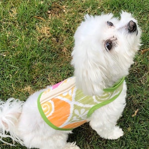 Sale Tropical beach  pattern small dog harness, Made in USA, dog harnesses, pet clothing
