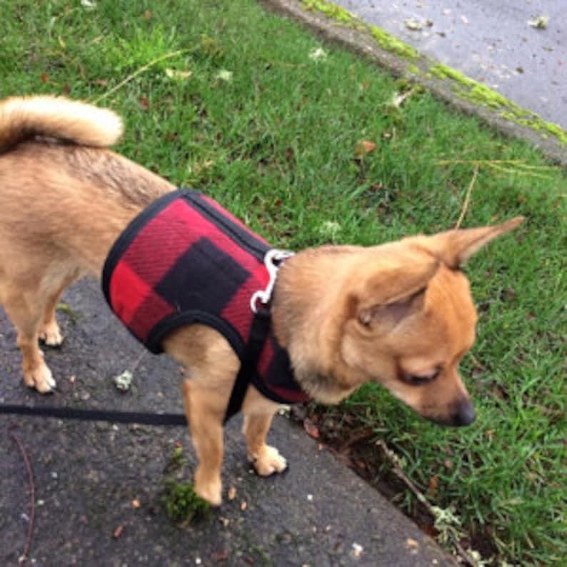 Lumberjack Small Dog Harness Made in USA Dog Harness Dog Etsy