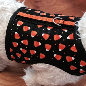 May include: A black dog harness with an orange and white candy corn pattern. The harness has a black strap with an orange stripe and a silver D-ring.