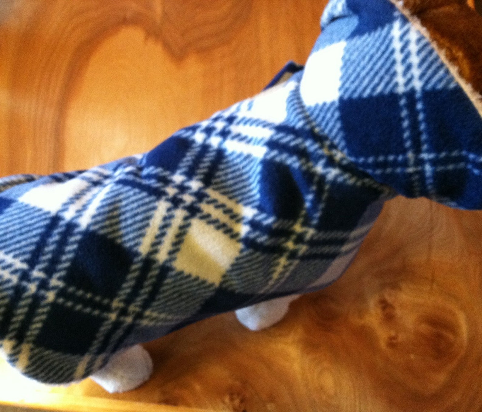 Dog Jacket Warm Blue Plaid Sherpa Lined Made in USA Dog Etsy