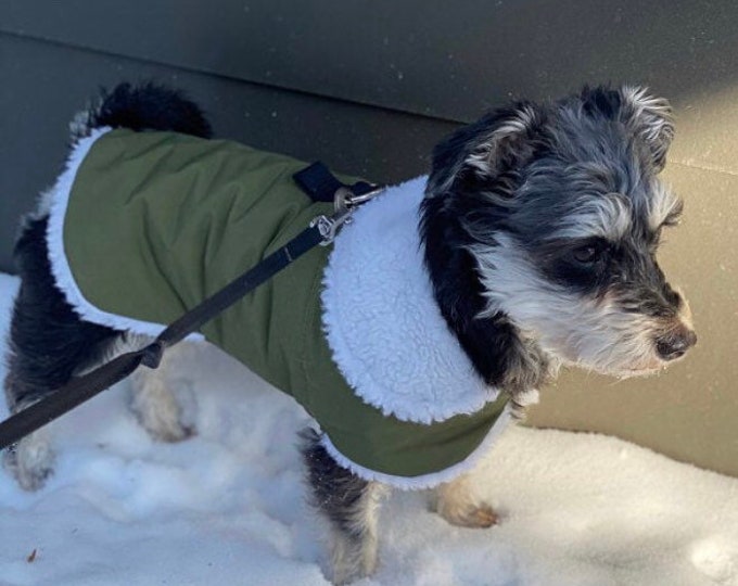 BIG DOG - Olive Green Doggy Suit Jacket
