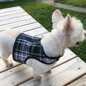 Classic Navy Tartan Plaid Small Dog Harness Made in USA, dog harnesses, pet clothing