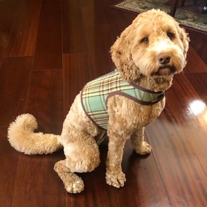 Aqua Blue & Chocolate Tartan Plaid Small Dog Harness Made in USA