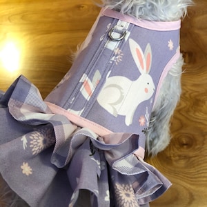 Pastel Bunny Kleiner Hund, doppeltes Rüschengeschirr, Made in USA, Ostern