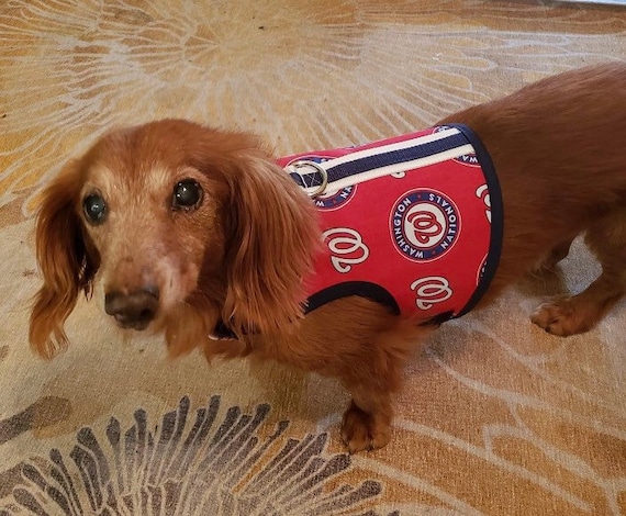 Small Dog Harness Washington Nationals Made in USA Dog - Etsy