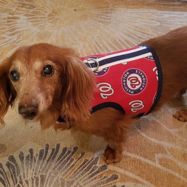 Rico Industries Mlb Washington Nationals Pet Leash, Size L/Xl, Team Color main image 0