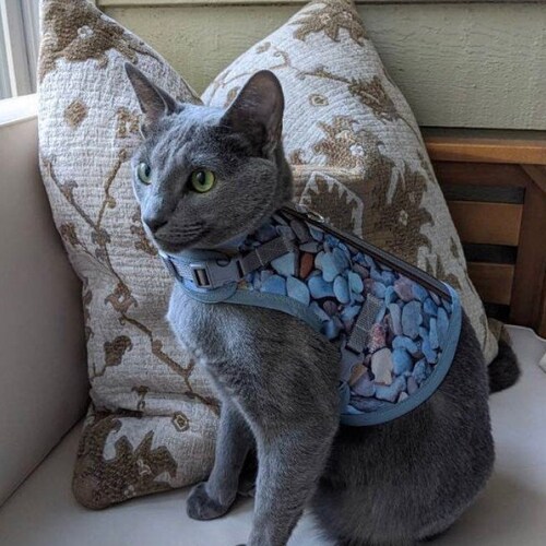 Custom Cat Harness Made in USA Cat Harness Cat Harnesses Etsy