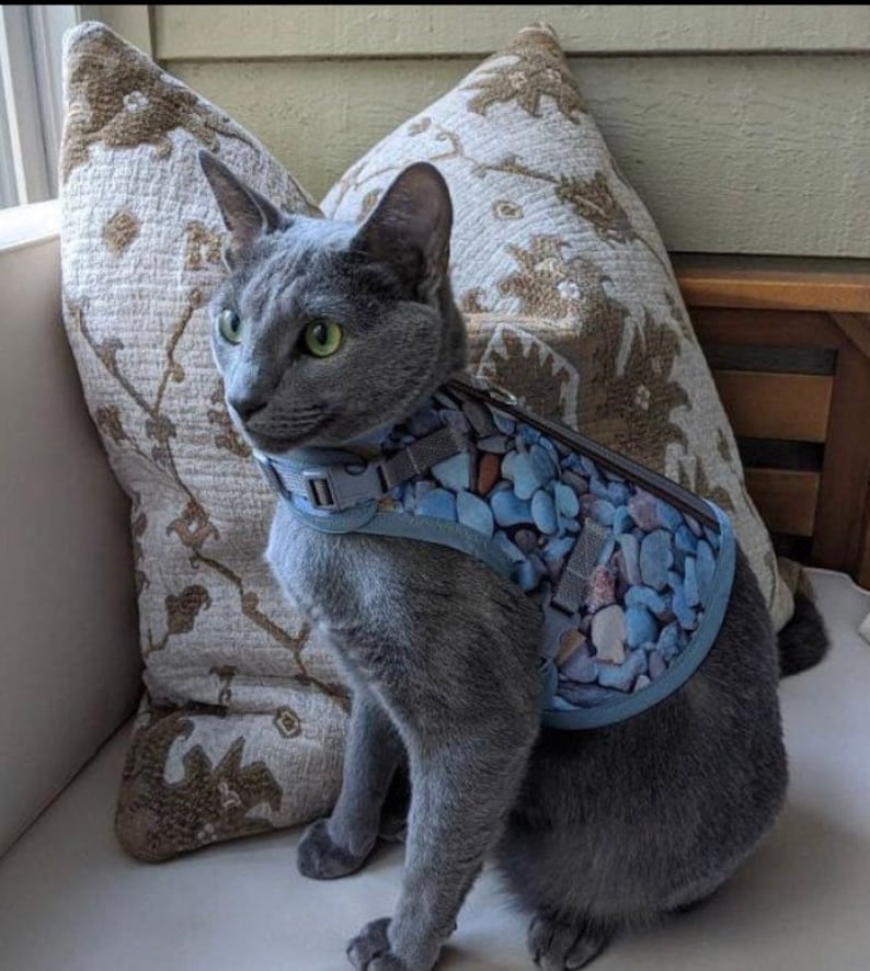 Custom Cat Harness Made in USA Cat Harness Cat Harnesses Etsy