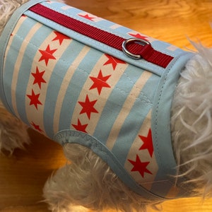 Chicago flag Small Dog Harness Made in USA, dog harnesses, pet clothing image 1