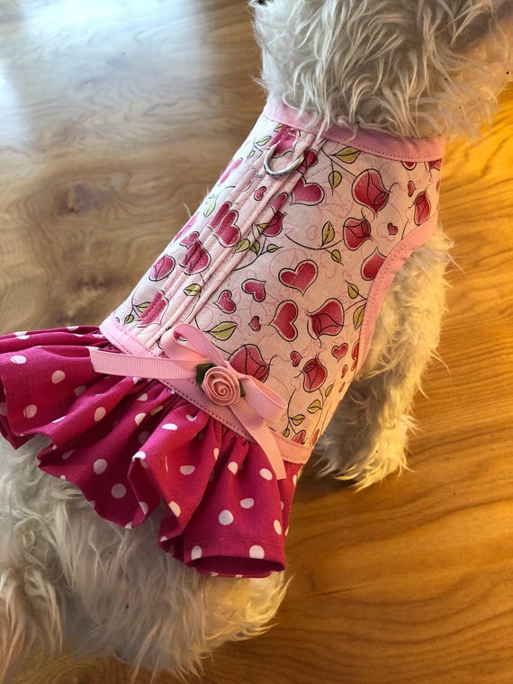 Pettorina per cani di piccola taglia con cuoricini e pois