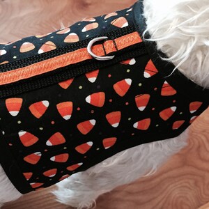 May include: Black dog harness with an orange and white candy corn pattern. The harness has a black strap and an orange strap with a silver D-ring.